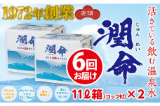 H8-1102／【6回定期便】飲む垂水温泉水　潤命　22L（11L×2箱）