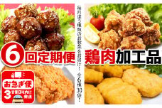 H8-2101／【6回定期便】鶏肉加工品　惣菜定期便