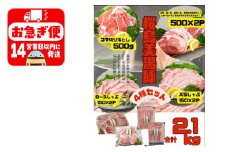 B2-0406／鹿児島県産 桜島美湯豚 4種セット 計2.1kg