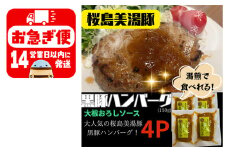 W-0403／鹿児島県産　桜島美湯豚　ハンバーグ 4個（おろしソース）