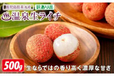A1-22545／【 訳あり品 】【 期間限定 】 生ライチ 500g 訳あり 温泉水で育てた希少な 国産 ライチ