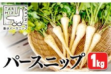 A1-5712／パースニップ　1kg