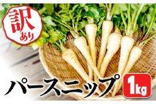 W-5701／【訳あり】パースニップ　1kg