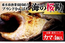 W-0102／垂水カンパチ『海の桜勘』 カマ 4個（計800g以上）