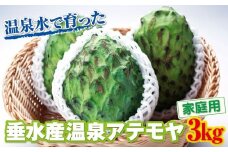 B2-22135／【家庭用】 垂水産温泉アテモヤ 3kg 森のアイスクリーム 希少な国産アテモヤ 訳あり