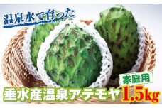 A1-22549／【家庭用】 垂水産温泉アテモヤ 1.5kg 森のアイスクリーム 希少な国産アテモヤ 訳あり