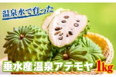 A1-22550／垂水産温泉アテモヤ 1kg【秀品】 森のアイスクリーム 希少な国産アテモヤ 
