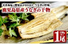 W-1805／鹿児島県産　うなぎ干物　1尾（120g以上）