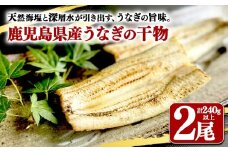 A1-1805／鹿児島県産　うなぎ干物　1尾（120g以上）×2袋