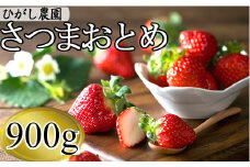 AS-2100 【季節限定】鹿児島県産いちご（さつまおとめ） 900g（約450g×2トレー） 【1月～4月順次発送】