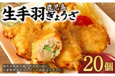 AS-713 鹿児島生 手羽ぎょうざ (20本) 餃子のタレ付き