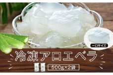 AS-2142 冷凍アロエベラ　合計1kg（500g×2袋）