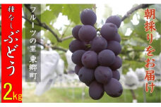 AS-542 【先行予約】今が旬！ クルス農園の種なしぶどう 2kg 7月中旬より順次お届け