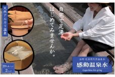 AS-902 20L×2本｢感動温泉水｣ 自宅で簡単足湯 冷え性にも効果 天然温泉水