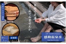 ES-603 天然アルカリ温泉水 20L×1本【6ｶ月定期便】｢感動温泉水｣自宅で簡単足湯 超軟水のｼﾘｶ水