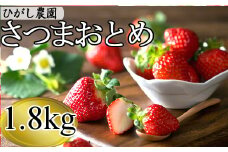 BS-330【季節限定】鹿児島県産いちご（さつまおとめ） 1.8kg（約450g×4トレー） 【1月～4月順次発送】