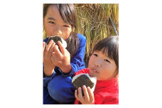 AS-420 三升米（みますまい） なつほのか 玄米 5kg × 1袋 鹿児島県 薩摩川内市 産【10月より順次発送】