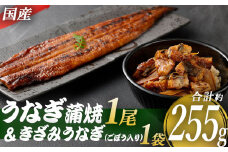 AS-143 九州産うなぎ蒲焼×1尾 + 国産きざみうなぎ ごぼう入り（タレ付き）×1袋 セット