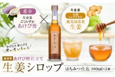 AS-413 薩摩川内生姜シロップ（はちみつ）稀少あけび酢使用 2本セット