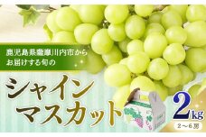 【先行予約】【数量限定】シャインマスカット2kg　(2～6房) 〔7月下旬~8月上旬に発送〕 BS-714