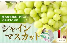 【先行予約】【数量限定】鹿児島県産シャインマスカット 1kg （1～4房） 〔7月下旬~8月上旬に発送〕 AS-479 