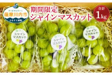 AS-016【数量限定】【先行予約】シャインマスカット 計1kg マスカット ぶどう