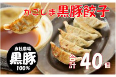 AS-021 かごしま黒豚餃子2箱 合計40個 ぎょうざ ギョーザ 薩摩八重ファーム 工房みかく亭