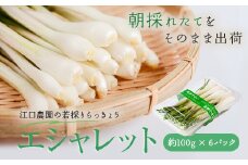 ZS-971 【数量限定】鹿児島県唐浜産エシャレット（若摘みらっきょう） 100g×6パック 計600g