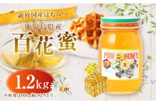 【純粋国産はちみつ】鹿児島県産 百花蜜 1.2kg 上野養蜂えん ハチミツ はちみつ はち蜜 蜂蜜 国産 AS-829