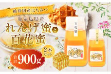 【純粋国産はちみつ】 【先行予約】鹿児島県産れんげ蜜300gと百花蜜600g 2本セット【2025年5月下旬以降発送】 上野養蜂えん AS-907