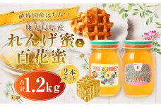 【先行予約】【純粋国産はちみつ】 鹿児島県産 れんげ蜜 600gと 百花蜜 600g 2本セット 【2025年5月下旬以降発送】 国産 はち蜜 はちみつ BS-201