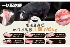 MS-602 かごしま黒豚1頭まるごと 約45kg 【一括配送便】 生産者直送 薩摩八重ファーム 工房みかく亭