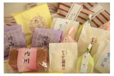 かしの樹 和菓子詰め合わせ（かるかん饅頭、雪窓院、時雨、春駒、川内川、天体橋、太平橋、朝露） お菓子 和菓子 洋菓子 郷土菓子 スイーツ お手軽 お手頃 お取り寄せスイーツ 詰め合わせ AS-2219 国内製造 国産 老舗 人気 ギフト 贈答用 ラッピング 鹿児島県 薩摩川内市 送料無料
