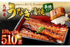 BS-338 九州産うなぎ蒲焼 3尾 食べごたえある3人前
