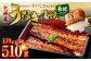 BS-338 九州産うなぎ蒲焼 3尾 食べごたえある3人前