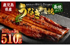 BS-339 鹿児島県産うなぎ蒲焼 約170g×3尾 
