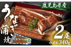 AS-841 鹿児島県産うなぎ蒲焼  170g×2尾
