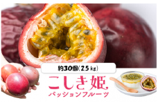 【数量限定】 甑島のパッションフルーツ 青果2.5kg ご自宅用 BS-639