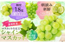 BS-101 シャインマスカット 2kg 【2023年7月下旬以降出荷】
