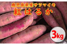 ZS-604 【2025年内発送】【農家直送】ママたちの想いをギュッ！薩摩で育てたさつまいも（紅はるか）洗い3kg 小サイズ