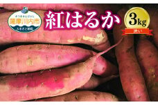 ZS-635 2026年明け発送【農家直送】ママたちの想いをギュッ！薩摩で育てたさつまいも（紅はるか）洗い3ｋｇ小