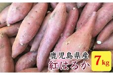 ZS-926 【2025年内発送】【訳あり】【農家直送】ママたちの想いをギュッ！薩摩で育てたさつまいも（紅はるか）洗い 規格外 7ｋｇ