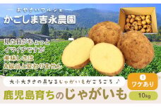 ZS-715 【訳あり】【数量限定】ママたちの想いをギュッ！薩摩で育ったほくほくじゃがいも（ニシユタカ） 10kg