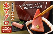 AS-2044 鹿児島県産 本マグロ【赤身】200g 約2～3人前 マグロ まぐろ 赤身 魚