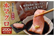 AS-813 鹿児島県産 本マグロ 【大トロ】 200g マグロ まぐろ 魚 大トロ