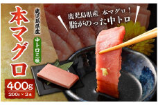 BS-904 鹿児島県産 本マグロ 中トロ三昧 合計400g(200g×2袋)