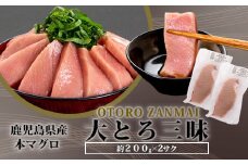 CSR-510　鹿児島県産本マグロ(大トロ三昧) 合計400g(200g×2袋)