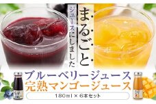 AS-338 【数量限定】ブルーベリー＆マンゴー果汁ジュース 1080g（180g×各3本）ｾｯﾄ (S-13)