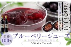 BS-602 【数量限定】ブルーベリージュース果汁100％ 500g×2本 (B-23)