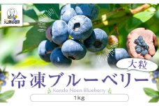 【数量限定】冷凍ブルーベリー 1000g（500g×2） (B-18)　AS-7101